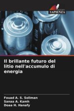 Il brillante futuro del litio nell'accumulo di energia