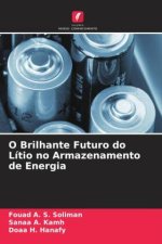 O Brilhante Futuro do Lítio no Armazenamento de Energia