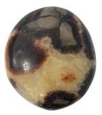 Galet Septaria - Pièce de 4 à 6 cm