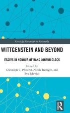 Wittgenstein and Beyond