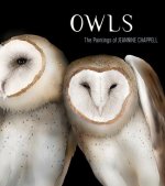 OWLS THE PAINTINGS OF JEANNINE CHAPPELL