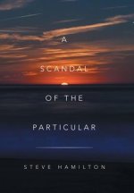 Scandal of the Particular