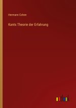 Kants Theorie der Erfahrung