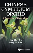 Chinese Cymbidium Orchid: A Gentleman of Noble Virtue