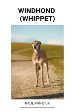 Windhond (Whippet)