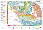 Atlas des vertébrés - Poster - Origine et évolution des vertébrés
