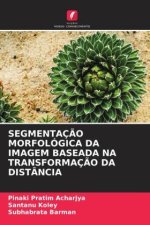 SEGMENTAÇ?O MORFOLÓGICA DA IMAGEM BASEADA NA TRANSFORMAÇ?O DA DISTÂNCIA