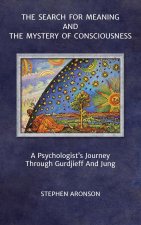 Search For Meaning and The Mystery of Consciousness