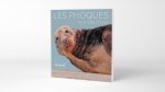 Les phoques de la côte d'opale