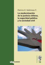 La modernización de la justicia Chilena la seguridad p?blica y la sociedad civil