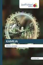 KAMEJA