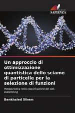 Un approccio di ottimizzazione quantistica dello sciame di particelle per la selezione di funzioni