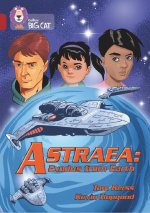 Graphic Novel 6