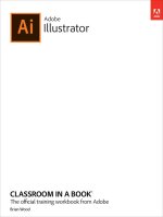 Adobe Illustrator Classroom in a Book (2023 Release)