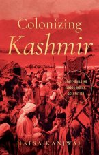 Colonizing Kashmir: State-Building Under Indian Occupation