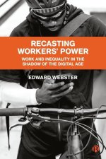Recasting Labour's Power: Work and Inequality in the Shadow of the Digital Age