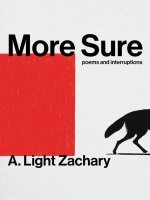 More Sure