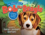Adventures of Bob the Beagle
