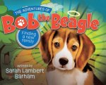 Adventures of Bob the Beagle
