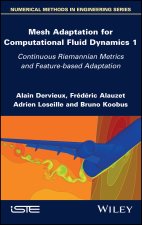 Mesh Adaptation for Computational Fluid Dynamics -  Continuous Riemannian Metrics and Feature-based Adaptation, Volume 1