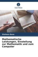 Mathematische Leistungen, Einstellung zur Mathematik und zum Computer