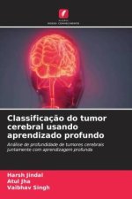 Classificaç?o do tumor cerebral usando aprendizado profundo