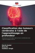 Classification des tumeurs cérébrales ? l'aide de l'apprentissage en profondeur