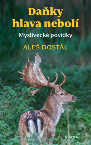 Daďż˝ky hlava nebolďż˝