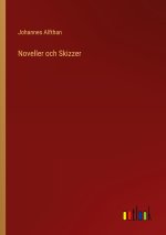 Noveller och Skizzer