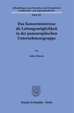 Das Konzerninteresse als Leitungsmöglichkeit in der paneuropäischen Unternehmensgruppe.