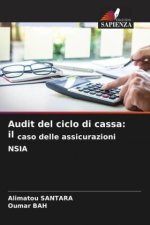 Audit del ciclo di cassa: il caso delle assicurazioni NSIA