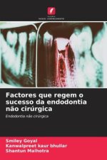 Factores que regem o sucesso da endodontia n?o cirúrgica