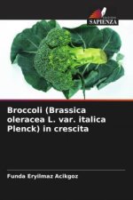 Broccoli (Brassica oleracea L. var. italica Plenck) in crescita