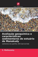 Avaliaç?o geoquímica e características sedimentares do estuário de Manakudy