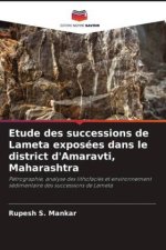 Etude des successions de Lameta exposées dans le district d'Amaravti, Maharashtra