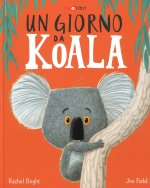 giorno da koala