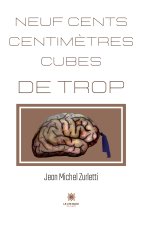 Neuf cents centimetres cubes de trop