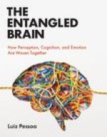 Entangled Brain