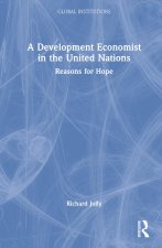 Development Economist in the United Nations