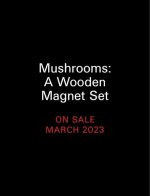 Mushrooms: A Wooden Magnet Set