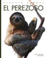 El Perezoso