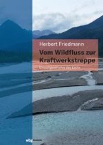 Vom Wildfluss zur Kraftwerkstreppe. Umweltgeschichte des Lechs
