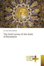 The brief survey of the book of Revelation