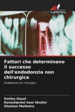 Fattori che determinano il successo dell'endodonzia non chirurgica