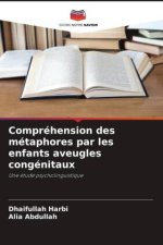Compréhension des métaphores par les enfants aveugles congénitaux