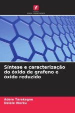 Síntese e caracterizaç?o do óxido de grafeno e óxido reduzido