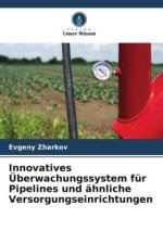 Innovatives Überwachungssystem für Pipelines und ähnliche Versorgungseinrichtungen