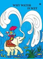 Why Water is Wet