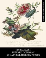 Vintage Art: Edward Donovan: 20 Natural History Prints: Entomology Ephemera for Home Decor, Collages and Scrapbooks