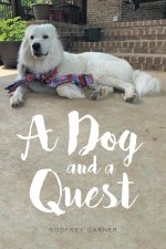 Dog and a Quest